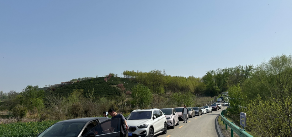 农文旅深度融合赋能乡村振兴——井楠茗宿“春假+清明”研学游交出亮眼成绩单