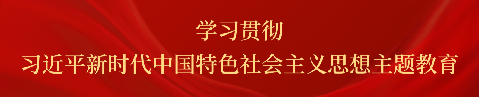 学习贯彻习近平新时代中国特色社会主义思想主题教育