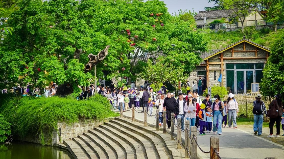 坚持问题导向 强化党建引领——走出乡村文旅高质量发展的“井楠路径”