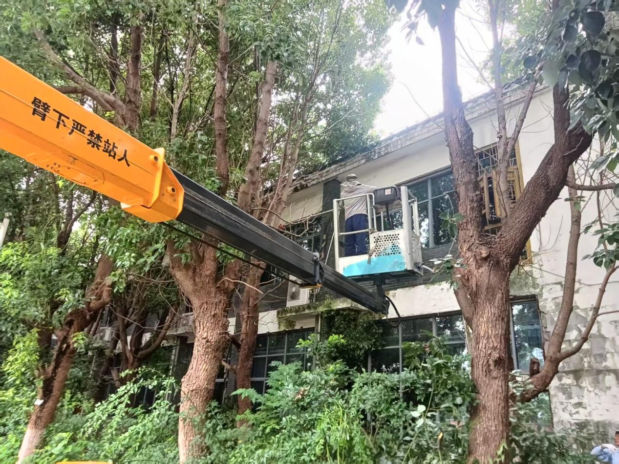 修枝除隐患 焕新街区貌|亭城城市运营发展公司开展天下滁房树木修剪专项整治工作